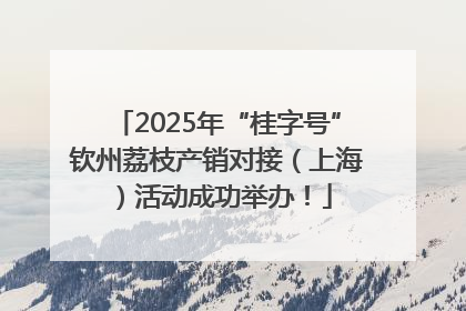 2025年“桂字号”钦州荔枝产销对接（上海）活动成功举办！