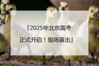 2025年北京高考正式开启！现场直击