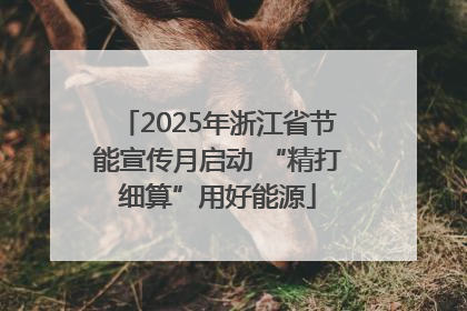 2025年浙江省节能宣传月启动 “精打细算”用好能源