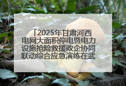 2025年甘肃河西电网大面积停电暨电力设施抢险救援政企协同联动综合应急演练在武威成功举行