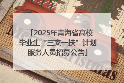 2025年青海省高校毕业生“三支一扶”计划服务人员招募公告