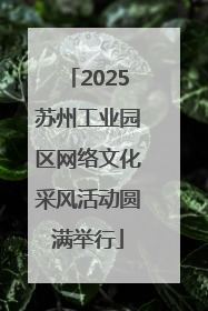 2025苏州工业园区网络文化采风活动圆满举行