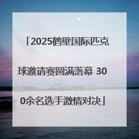 2025鹤壁国际匹克球邀请赛圆满落幕 300余名选手激情对决