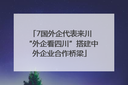 7国外企代表来川 “外企看四川”搭建中外企业合作桥梁