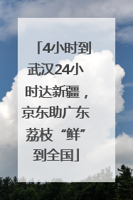 4小时到武汉24小时达新疆，京东助广东荔枝“鲜”到全国