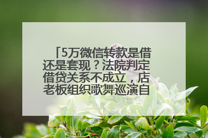 5万微信转款是借还是套现？法院判定借贷关系不成立，店老板组织歌舞巡演自我“恢复名誉”