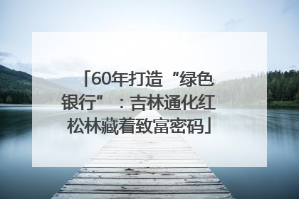 60年打造“绿色银行”：吉林通化红松林藏着致富密码