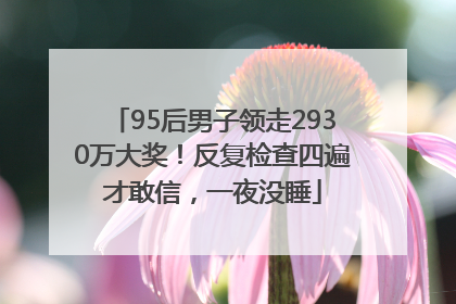 95后男子领走2930万大奖！反复检查四遍才敢信，一夜没睡