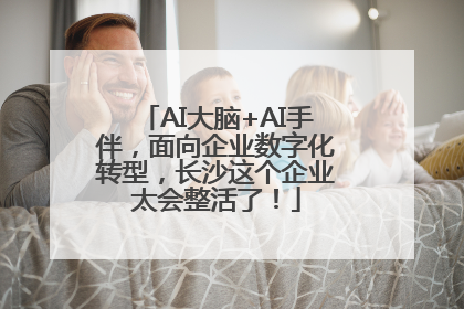 AI大脑+AI手伴，面向企业数字化转型，长沙这个企业太会整活了！