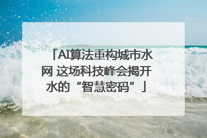 AI算法重构城市水网 这场科技峰会揭开水的“智慧密码”