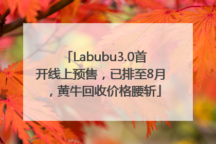 Labubu3.0首开线上预售，已排至8月，黄牛回收价格腰斩