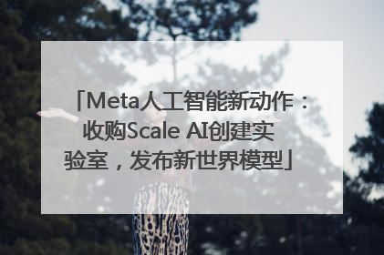 Meta人工智能新动作：收购Scale AI创建实验室，发布新世界模型